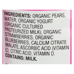 Earth's Best Organic Fruit Yogurt Smoothie - Mixed Berry - Case Of 12 - 4.2 Oz.