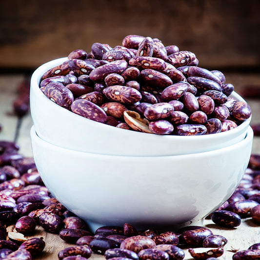 Dried Beans